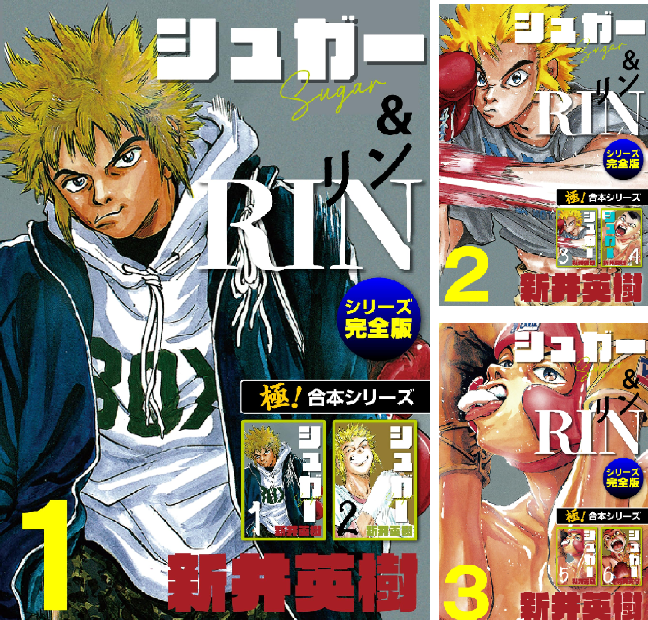 【テレンス】新井英樹　RIN、SUGAR、宮本君から君へ、その他 新井英樹『RIN』とかいう最高傑作 - まくら